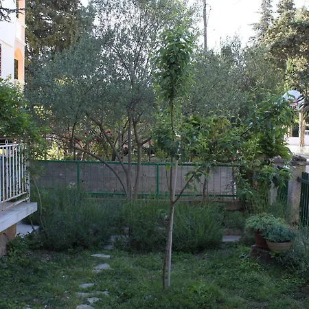 Apartments With Parking Space Biograd Na Moru - 366 *